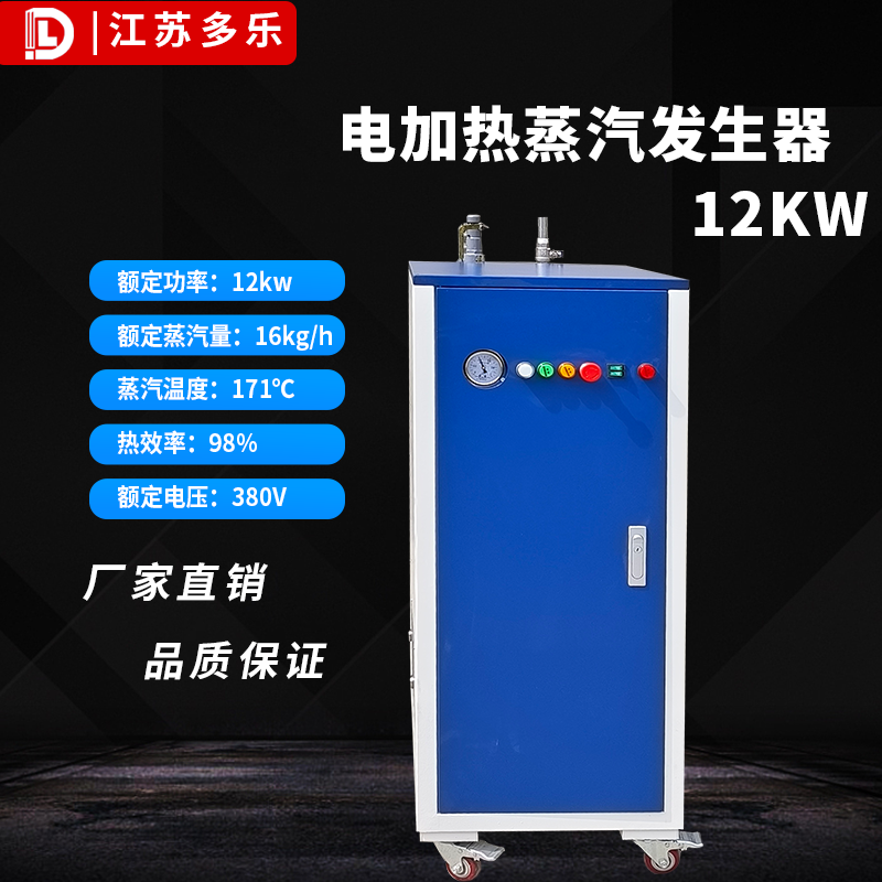 电加热蒸汽发生器12kw